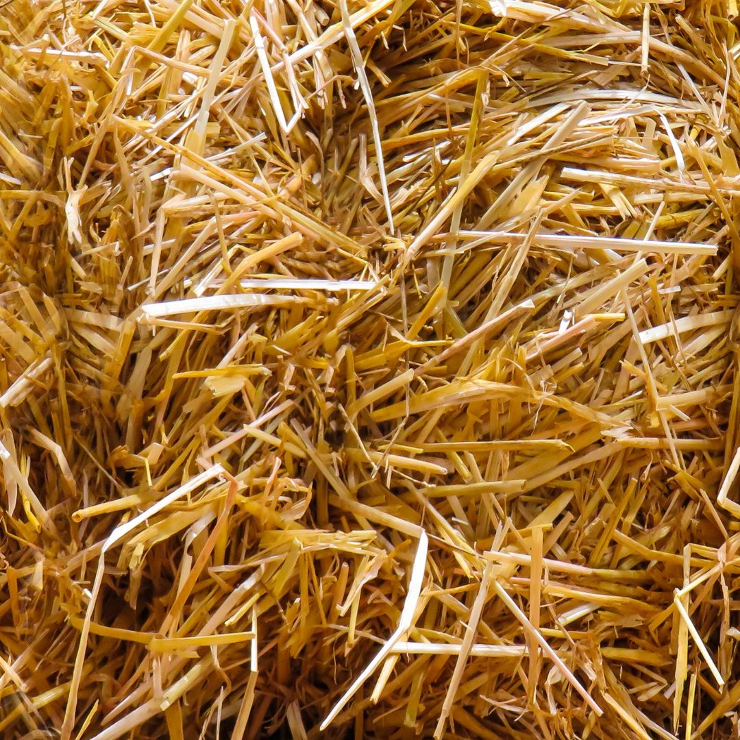 Local Straw Bedding