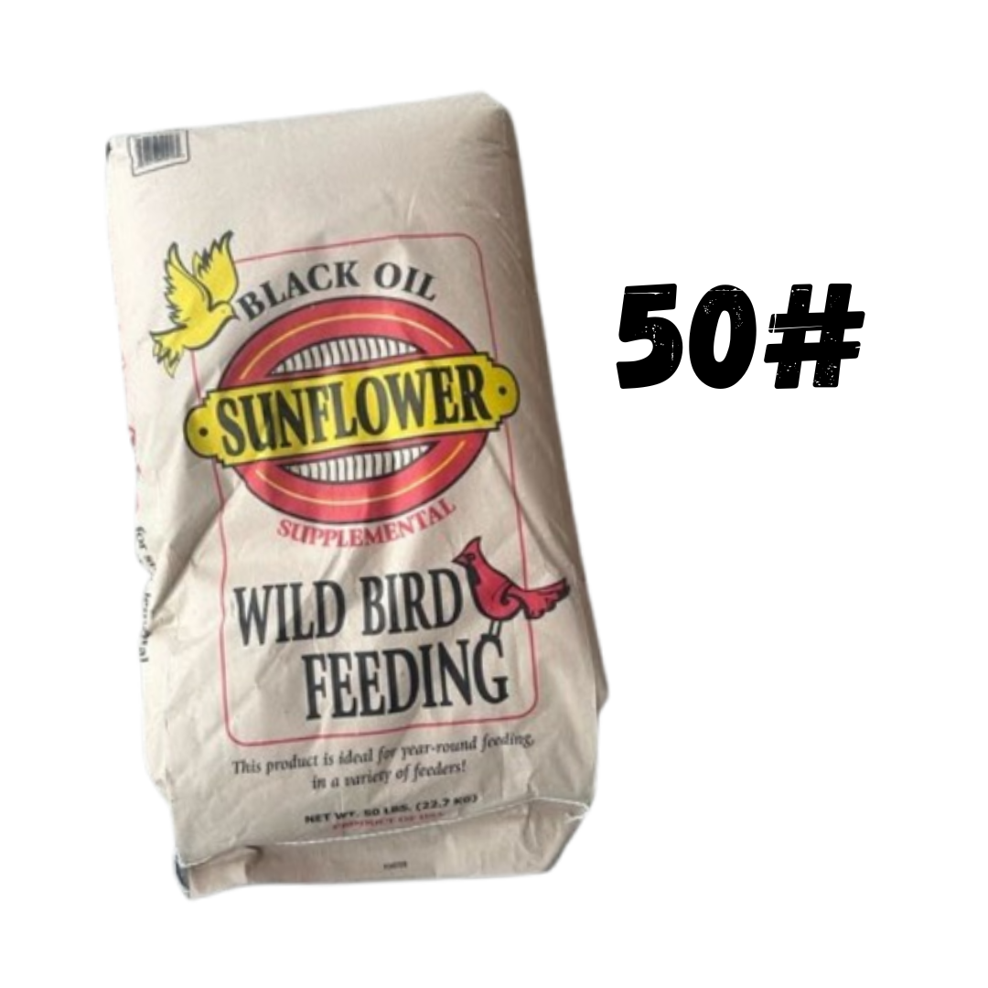 Black Oil Sunflower 50#