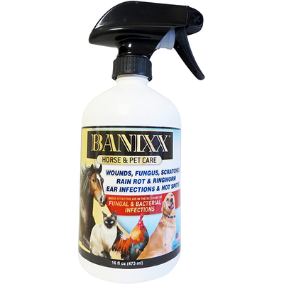 Banixx Horse & Pet Spray 16 OZ BNX01