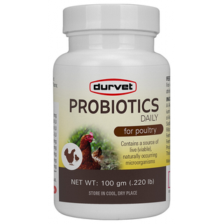 Poultry Probiotics Daily 100 GM DT159