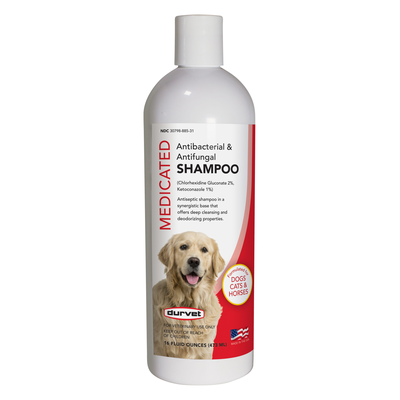 Antibacterial & Antifungal Shampoo 16 OZ DT620