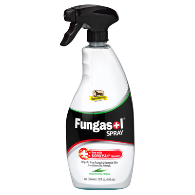 Fungasol Spray 22 OZ WFF49